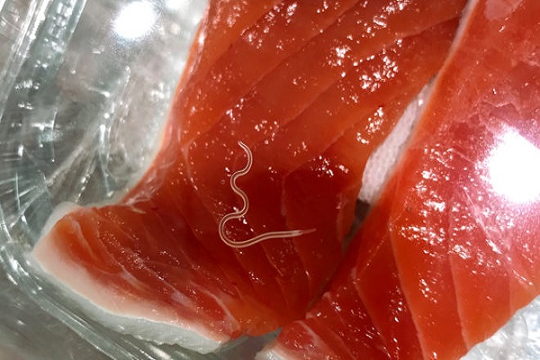 Thêm bằng chứng về sự gia tăng lớn của giun ký sinh trong các món hải sản sống