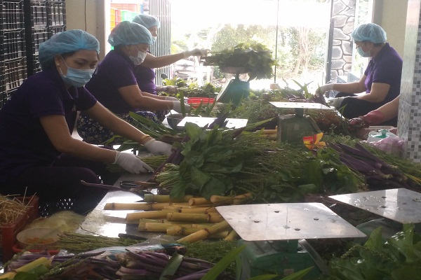 TP.HCM và Long An tăng cường hợp tác trong cung ứng thực phẩm sạch, an toàn - ảnh 1