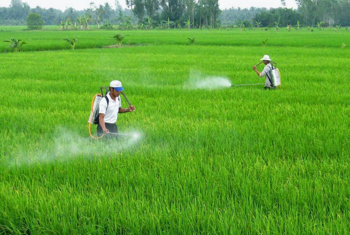 Nửa đầu năm 2017, Việt Nam nhập thuốc trừ sâu tăng 44% so với năm 2016