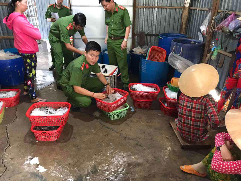 Nóng tình trạng bơm tạp chất vào tôm, cách nào giải quyết? - ảnh 1