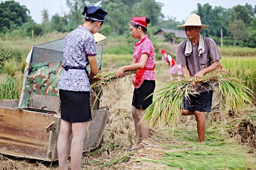 Đó là những nữ tiếp viên của một hãng hàng không ở Trung Quốc. Họ được yêu cầu làm việc đồng áng, gặt lúa.. để trải nghiệm cảm giác cực khổ lao động chân tay như người nông dân.
