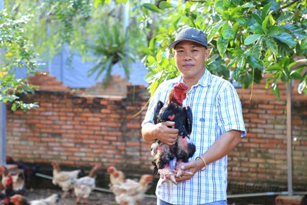 Vốn 200 nghìn đồng nuôi gà Đông Tảo làm giàu trăm triệu mỗi tháng
