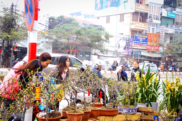 Chợ Bưởi là một điểm bán hoa rất đặc biệt của người Hà Nội mỗi khi Tết đến, xuân về.