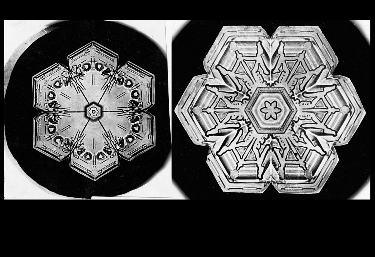 “Khi quan sát hoa tuyết bằng kính hiển vy, tôi nhận thấy hoa tuyết quả thật là điều kỳ diệu của tạo hóa”, ông cho biết trong tác phẩm được xuất bản năm 1925. Ảnh Wilson Bentley