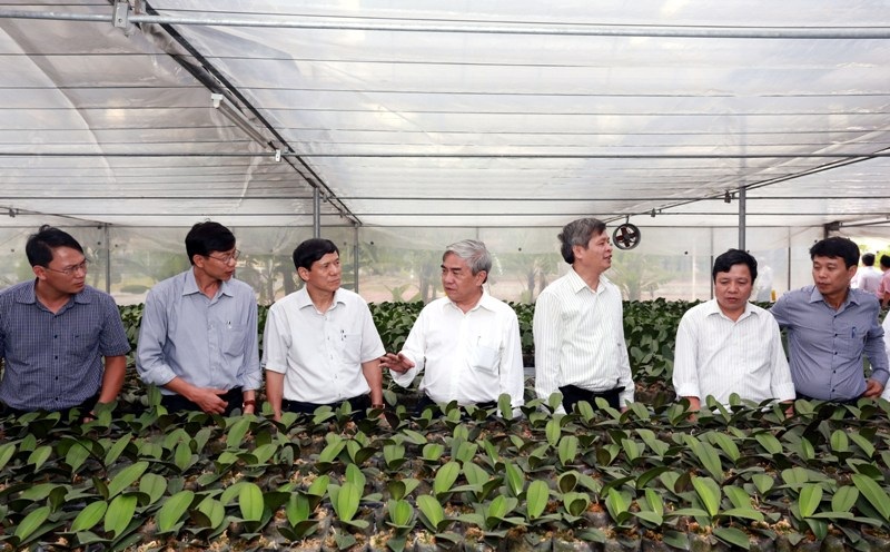 Bộ trưởng Nguyễn Quân thăm mô hình trồng lan Đế vương (Hoàng Hậu) Ly 9 tại Khu thực nghiệm sản xuất nông nghiệp Công nghệ cao (Sở KH&CN Bắc Ninh)