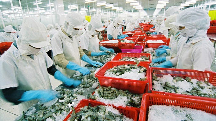 Thủy sản xuất khẩu vào Trung Quốc đòi hỏi pháp đáp ứng các tiêu chí khắt khe