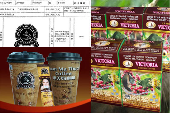 Cà phê Buôn Mê Thuột từng bị doanh nghiệp Trung Quốc đăng ký nhãn hiệu tại nước này