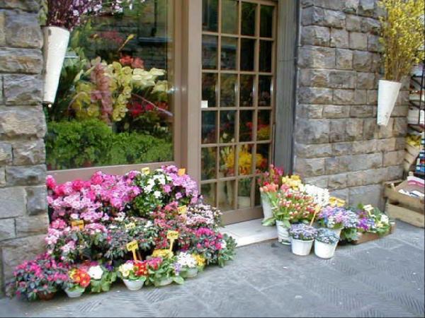 Chậu hoa oải hương sau khi trồng nên được đặt ở gần cửa số hoặc nơi có nhiều ánh nắng