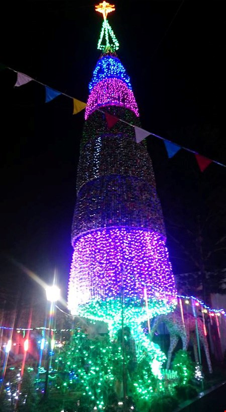 Cây thông Noel độc đáo cao 18m làm từ hàng ngàn vỏ lon của giáo xứ Hiền Hòa (ấp Hiền Hòa, xã Phước Thái, huyện Long Thành, tỉnh Đồng Nai)