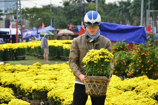 Cúc mâm xôi từ Sa Đéc (Đồng Tháp) cũng có mặt tại chợ hoa Đà Nẵng với giá 100.000 đồng/giỏ