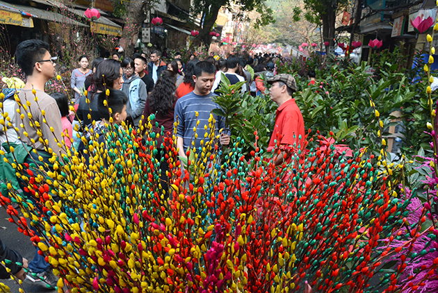 Nụ tầm xuân, hoa hải đường rực rỡ tại một góc khu chợ hoa hàng lược