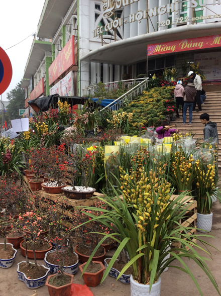 Ngày xuân chộn rộn, hoa lá ùa về đầy chợ cây đặc biệt trên đường Hoàng Hoa Thám của Hà Nội - chợ Bưởi.