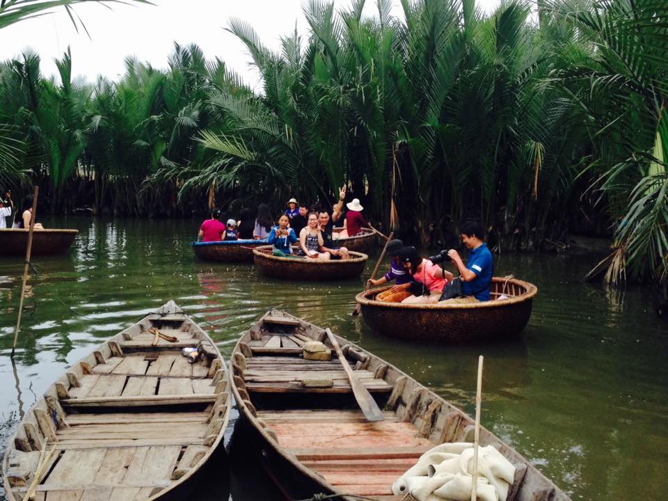 Image result for rung dua bay mau