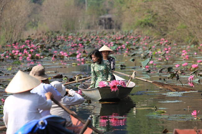 http://wanderlusttips.com/2016/09/15/suoi-yen-mua-hoa-sung/ http://wanderlusttips.com/2016/09/15/suoi-yen-mua-hoa-sung/
