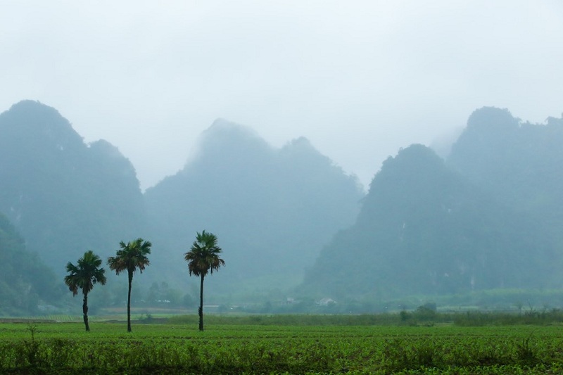 Những địa danh Việt xuất hiện trong phim Kong: Đảo Đầu Lâu - ảnh 12