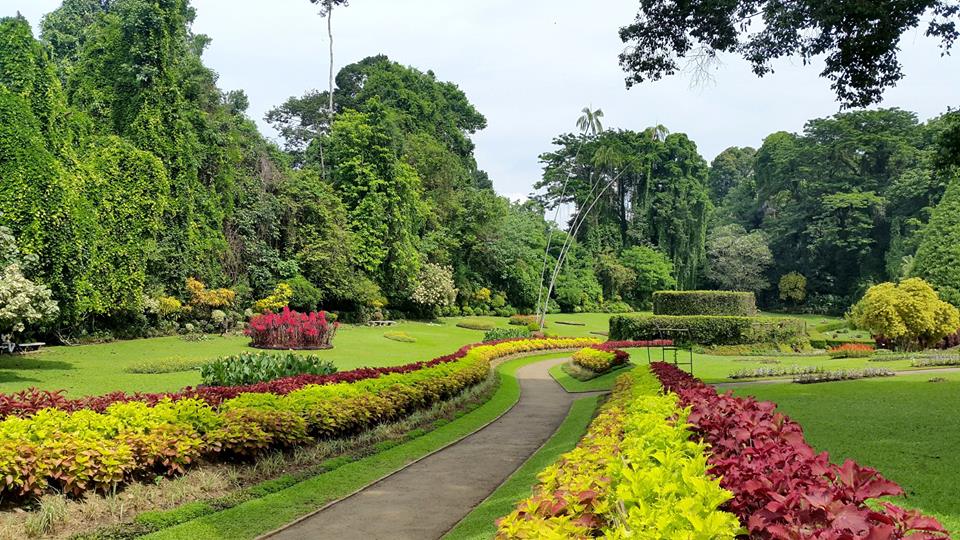 Ghé thăm thành phố tâm linh quan trọng bậc nhất của Sri Lanka - ảnh 7