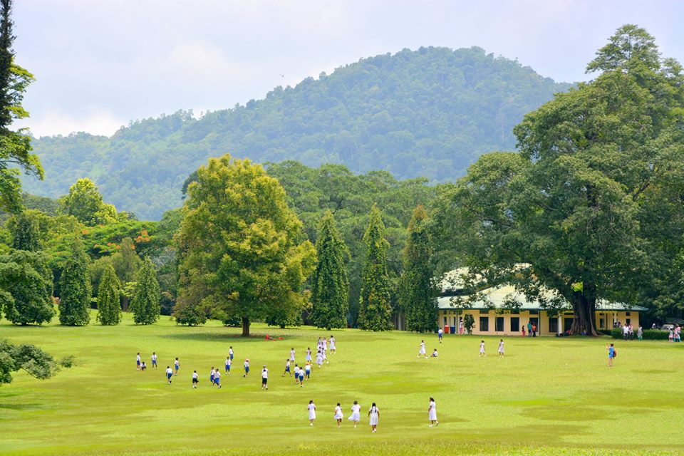 Du lịch Sri Lanka tự túc: Những nơi bạn không nên bỏ qua  - ảnh 13