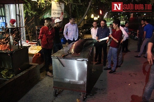 ha-noi-xuat-hien-ca-hai-tuong-nang-81kg-dai-gan-2m ha-noi-xuat-hien-ca-hai-tuong-nang-81kg-dai-gan-2m