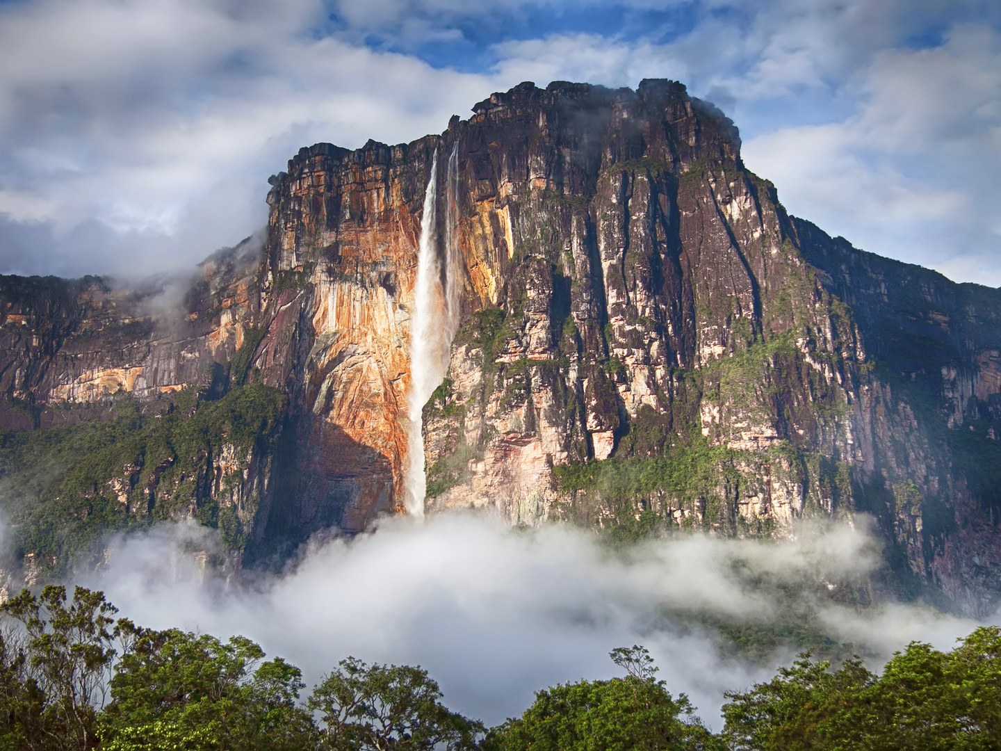 Angel được phát hiện bởi một phi công người Mỹ năm 1993 và nó trở thành thác nước cao nhất thế giới, tọa lạc ở Venezuela. 