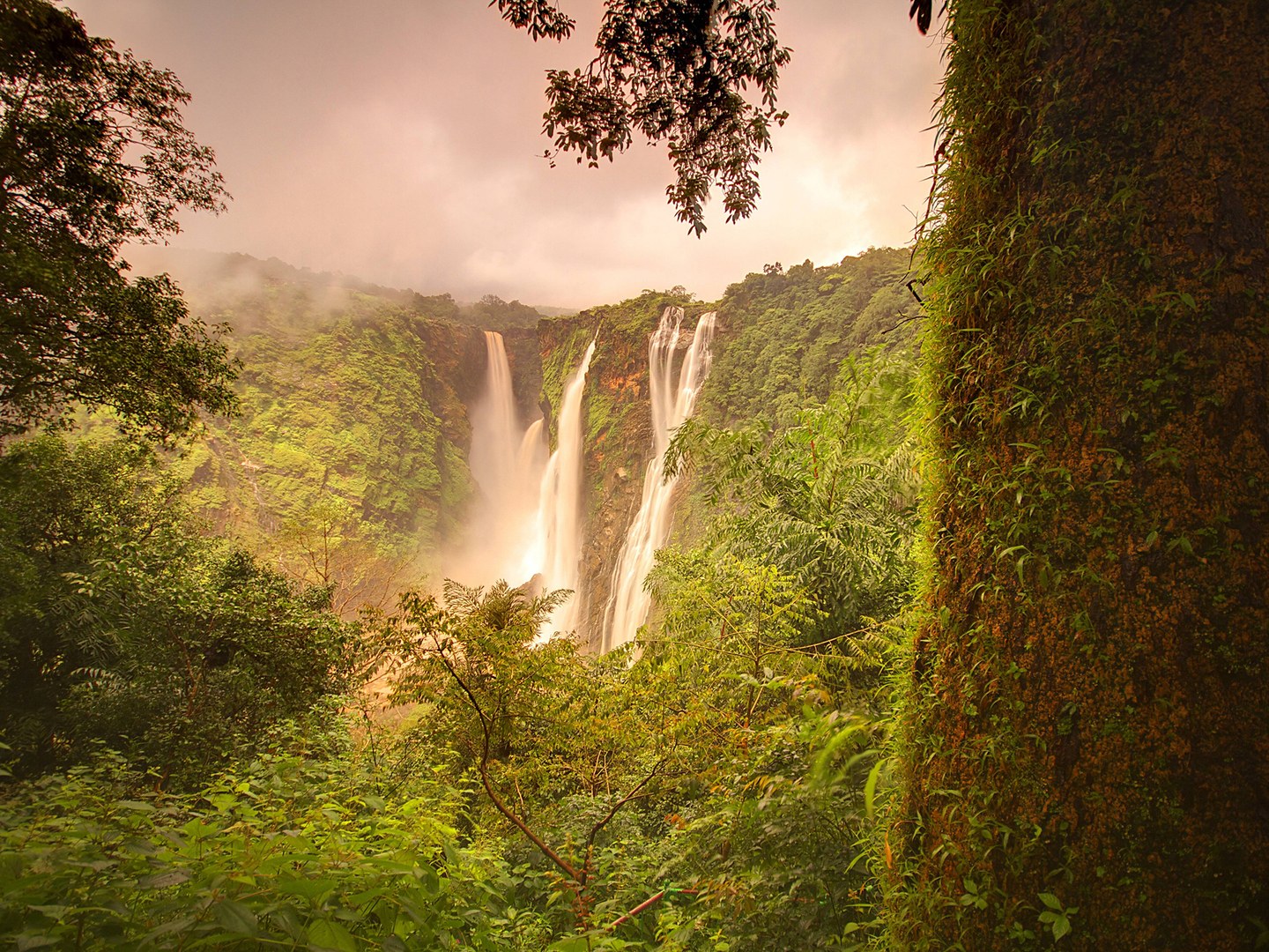 Thác Jog hay có tên gọi khác là thác Gersoppa, thuộc bang Karnataka, một bang lắm thác ghềnh phía tây nam Ấn Độ. Thác được cấu thành bởi 4 dòng chảy riêng biệt, chảy qua sông Sharavathi. Sở hữu độ cao gần 253m, Jog là một trong những thác nước thẳng cao nhất ở đất nước đông dân thứ hai thế giới.