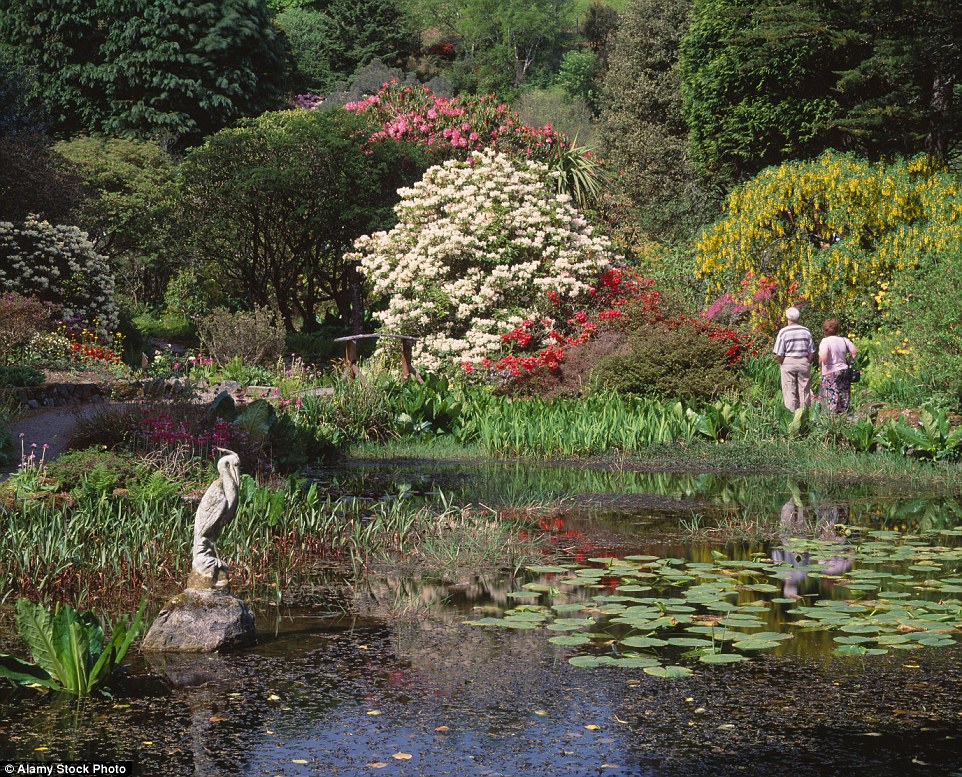 Arduaine Garden là một trong số ít các khu vườn gần bờ biển và du khách có thể đi bộ tham quan, cũng như ngắm biển. Trong ảnh là ao Heron Pond nổi tiếng được yêu thích trong trong mùa hè. 