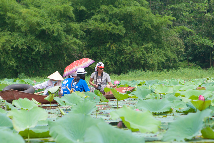 Mùa sen đến, hồ Quan Sơn trở thành điểm đến hút khách 