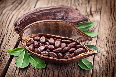 Đối với tác hại với sức khỏe con người, các nhà nghiên cứu cho rằng: Chưa có bằng chứng chất Phenol gây ung thư. Viện nghiên cứu ung thư quốc tế không xếp phenol vào nhóm hóa chất gây ung thư ở người. Cacao cũng là một trong những loại thực phẩm chứa nồng độ chất Phenol cao. 