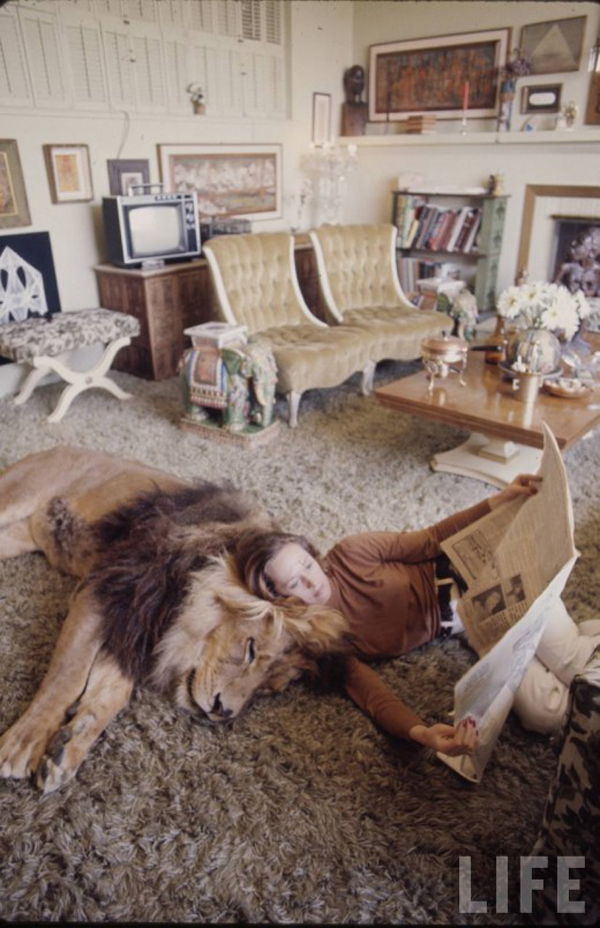 Đối với một diễn viên nữ có vẻ ngoài mỏng manh như Tippi Hedren thì có vẻ hơi đáng sợ khi nuôi một chú sư tử trong nhà.