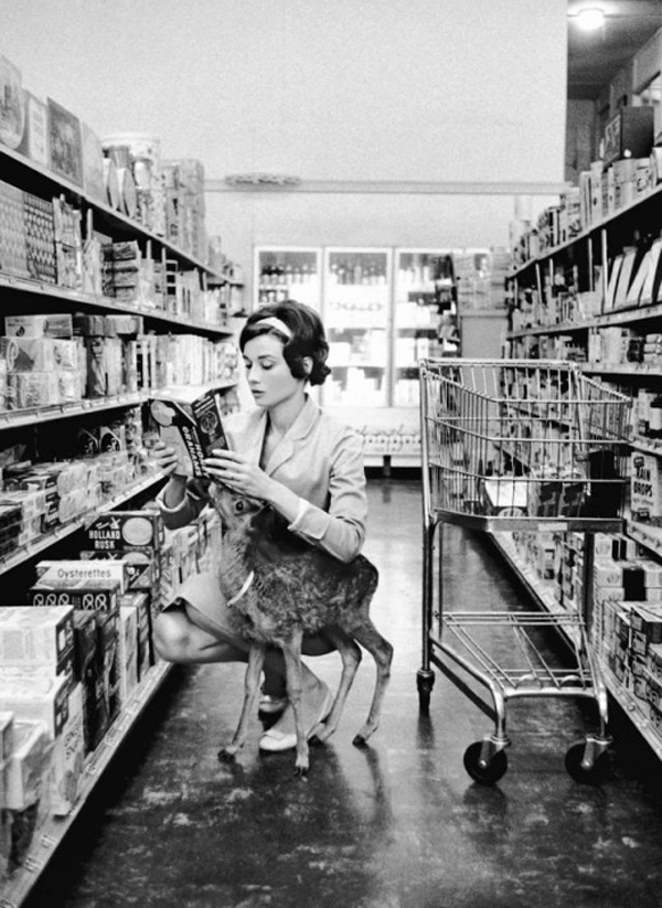 Tương tự, nữ diễn viên Audrey Hepburn cũng sở hữu một chú hươu con tên Pippin.