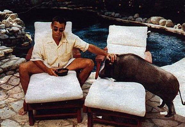Diễn viên George Clooney bầu bạn với một chú lợn rừng suốt 18 năm cho đến khi chú lợn ra đi vào năm 2006