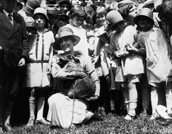 Đệ nhất phu nhân Grace Coolidge từng nuôi một chú gấu mèo tên Rebecca. Phu nhân Grace Coolidge cũng từng sở hữu một chú hà mã lùn, hai chú sư tử, một chú chuột túi Wallaby và một chú gấu.