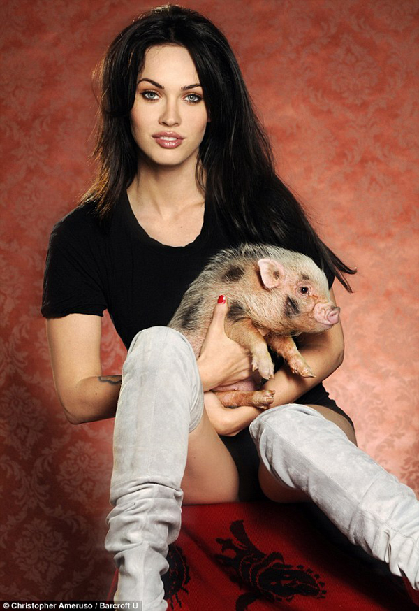 Nữ diễn viên Megan Fox nuôi một chú lợn nhỏ đáng yêu.