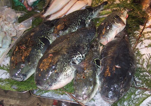 Món ăn nguy hiểm nhất thế giới: Fugu được làm từ thịt cá nóc và rất được ưa chuộng tại Nhật. Đây là món ăn được mệnh danh là nguy hiểm nhất thế giới bởi cá nóc chứa một lớn chất kịch độc trong gan và buồng trứng, có thể gây chết người nếu không được chế biến cẩn thận. Ở các quốc gia khác, món ăn được liệt kê vào thứ được phép thử dù chỉ một lần.