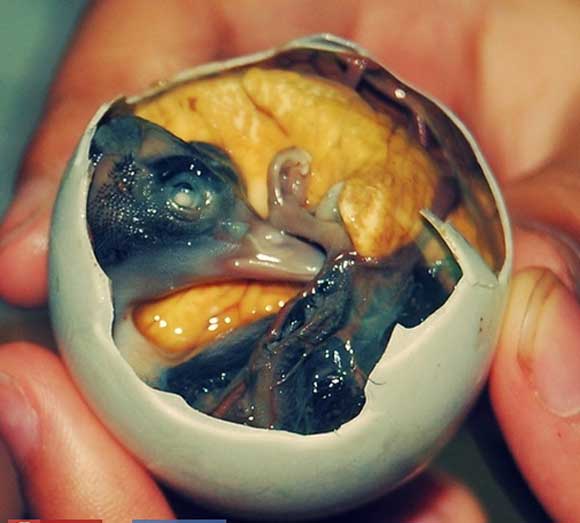 Trứng vịt lộn (Philippines): Trứng vịt lộn ở Philippines được gọi là Balut. Khác với trứng vịt lộn ở Việt Nam được ấp từ 17 đến 19 ngày, thì trứng vịt lộn ở Philippines tùy theo từng địa phương sẽ có thời gian ấp khác nhau nhưng tối đa là 17 ngày. Trứng vịt khi đó vẫn còn non, chưa phát triển mỏ, lông và móng còn xương thì đang manh nha. Balut được ăn kèm với ớt, tỏi, giấm và một chút muối.