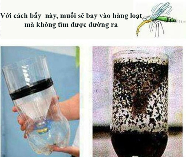 Làm bẫy muỗi: Một cái bẫy muỗi tự chế là một cách để giảm số lượng muỗi trong vườn nhà bạn. Bẫy này sử dụng CO2 để thu hút muỗi vào một chai nhựa từ đó sẽ không thấy bóng dáng của “tụi” muỗi nữa.