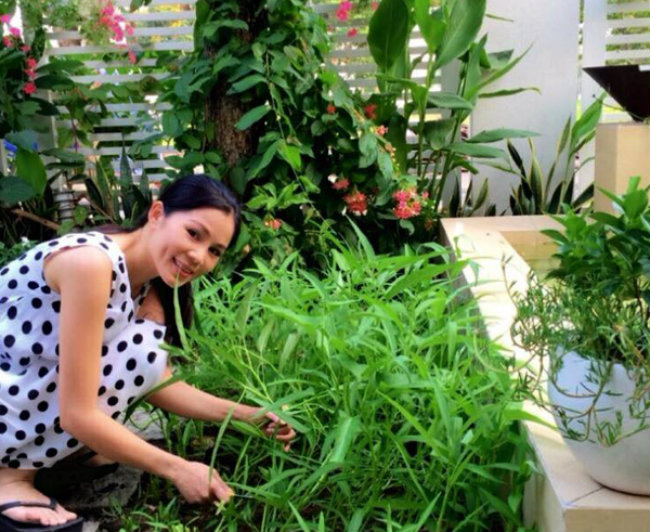 Bà xã Dạ Thảo cũng là người chăm chỉ trồng rau, hoa đem tới thực phẩm ngon sạch, khoảng không thư giãn thoải mái cho gia đình.
