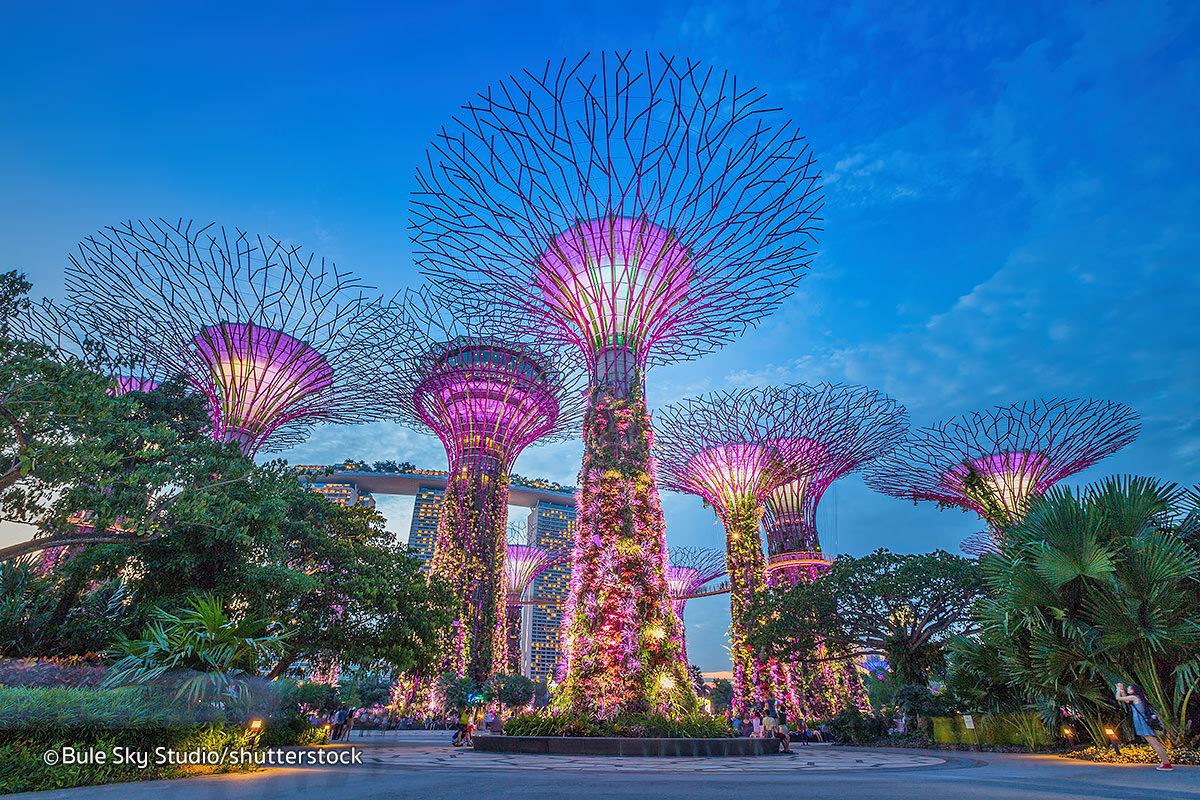 Gardens By The Bay là một khu vườn khổng lồ với diện tích 101ha được xây dựng từ một khu đất hoang ở trung tâm Singapore tiếp giáp với vịnh Marina nổi tiếng. Đây  là một bước đi chiến lược trong kế hoạch biến Singapore từ một “thành phố vườn” đến một “thành phố trong vườn” với mục đích là cân bằng hệ sinh thái, nâng cao chất lượng cây xanh trong thành phố.