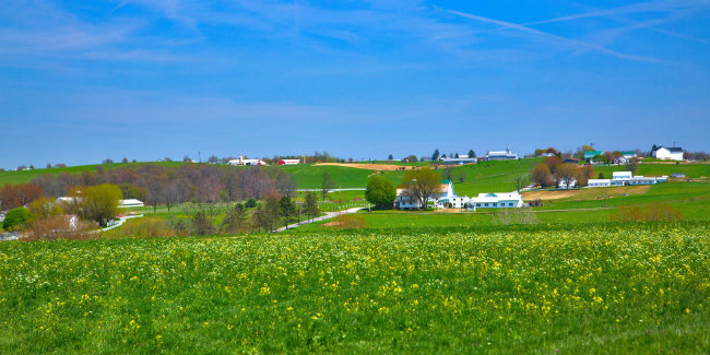 Con đường vùng quê Amish: Những ngọn đồi ở nông thôn Ohio không được cho là quá đẹp, nhưng con đường dành cho xe ngựa trông đẹp hơn bao giờ hết.