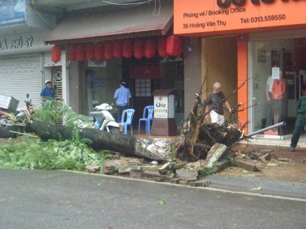 Công tác khắc phục hậu quả sau bão số 3 của TP Hải Phòng: