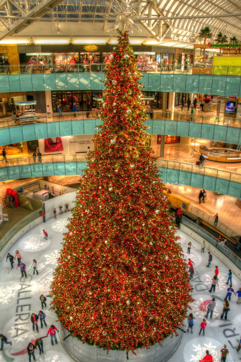 Cây thông trong nhà lớn nhất tại Mỹ: Cây thông đặt trong lòng khu trung tâm Dallas Galleria được xem là cây thông Giáng sinh trong nhà lớn nhất tại Mỹ với hơn 10.000 đồ trang trí và khoảng 250.000 chiếc đèn gắn trên đó. Không chỉ là dấu hiệu đón chào Noel, cây thông còn được xem là một món quà đặc biệt cho những du khách của khu trượt băng. Còn gì tuyệt bằng cảm giác được thưởng thức những màn trình diễn trượt băng điêu luyện bên trong khung cảnh lung linh của một trong những cây thông hoành tráng nhất thế giới
