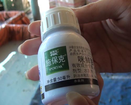 Phát hiện một cơ sở dùng hóa chất lạ mang nhãn mác Trung Quốc để ngâm chuối bán ra thị trường.