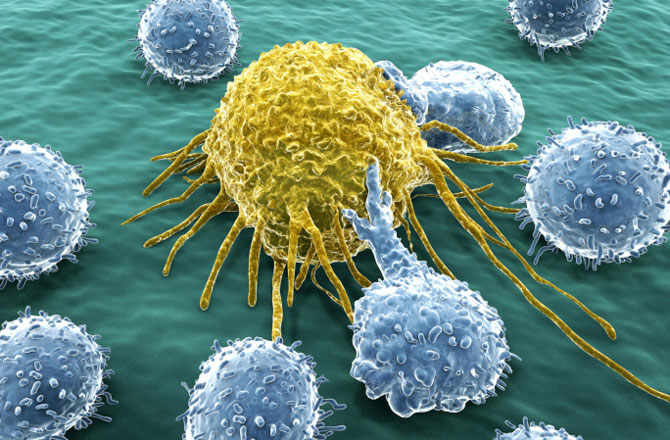 Tác dụng phụ của các liệu pháp hóa trị dùng để chữa trị ung thư sẽ được giảm đáng kể nhờ sự hiểu biết tốt hơn về các kháng thể và cơ chế lien kết protein. Sự hiểu biết sâu hơn về đột biến gen cũng giúp điều trị tốt hơn các khối u ác tính và bệnh ung thư phổi…