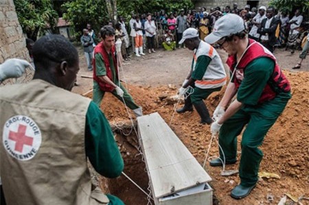 Cần có giải pháp xử lý bệnh Ebola kịp thời