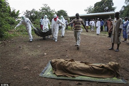 nhiều quốc gia đã đưa ra giải pháp đối phó dịch Ebola