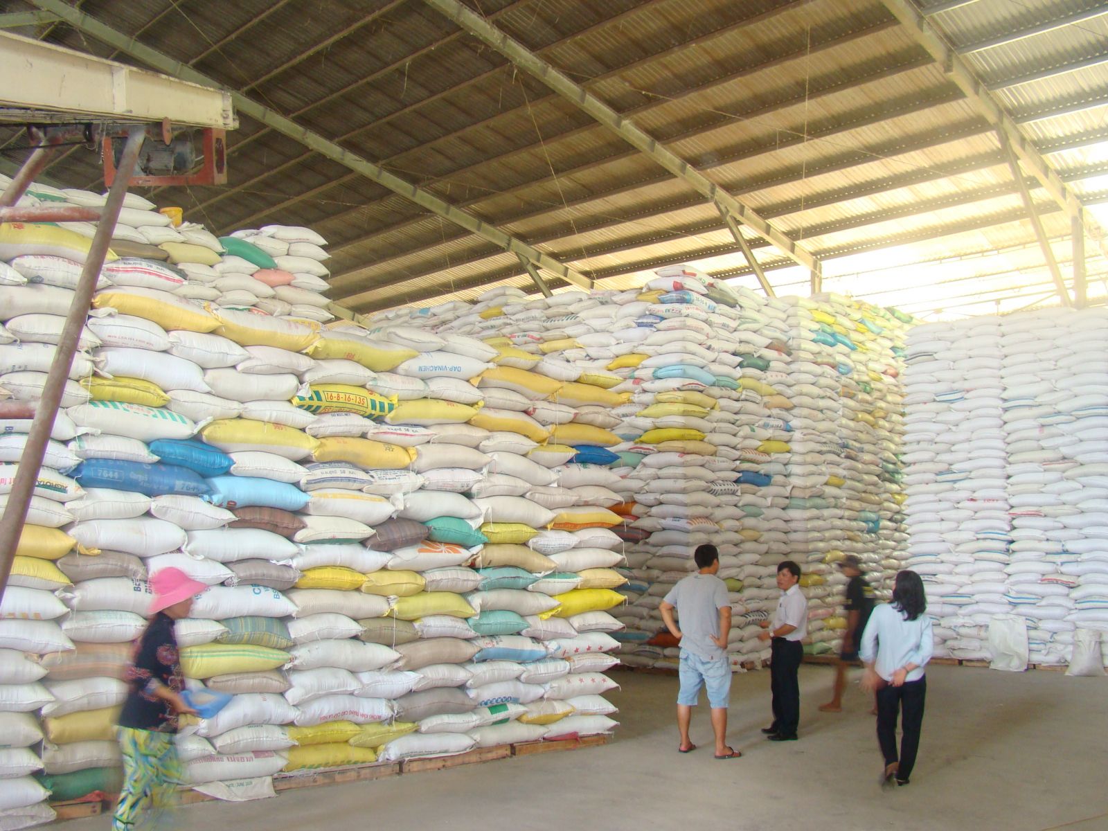 Xuất khẩu gạo sang Trung quốc vẫn chiếm tỷ lệ lớn (ảnh minh hoạ, nguồn Internet)