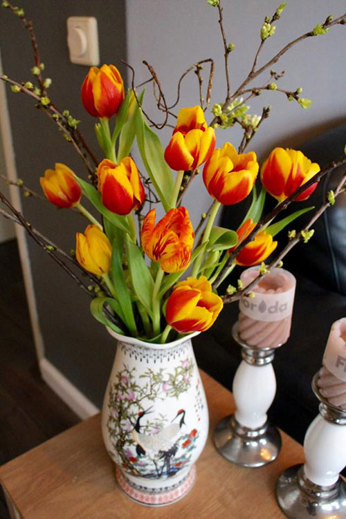 Ngoài tulips, vườn nhà chị còn có vô số các loài hoa khác như hoa hồng, cúc, thược dược,...