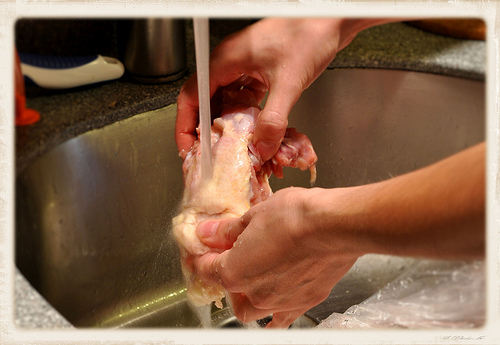 ngộ độc thực phẩm vì rửa thịt gà sống