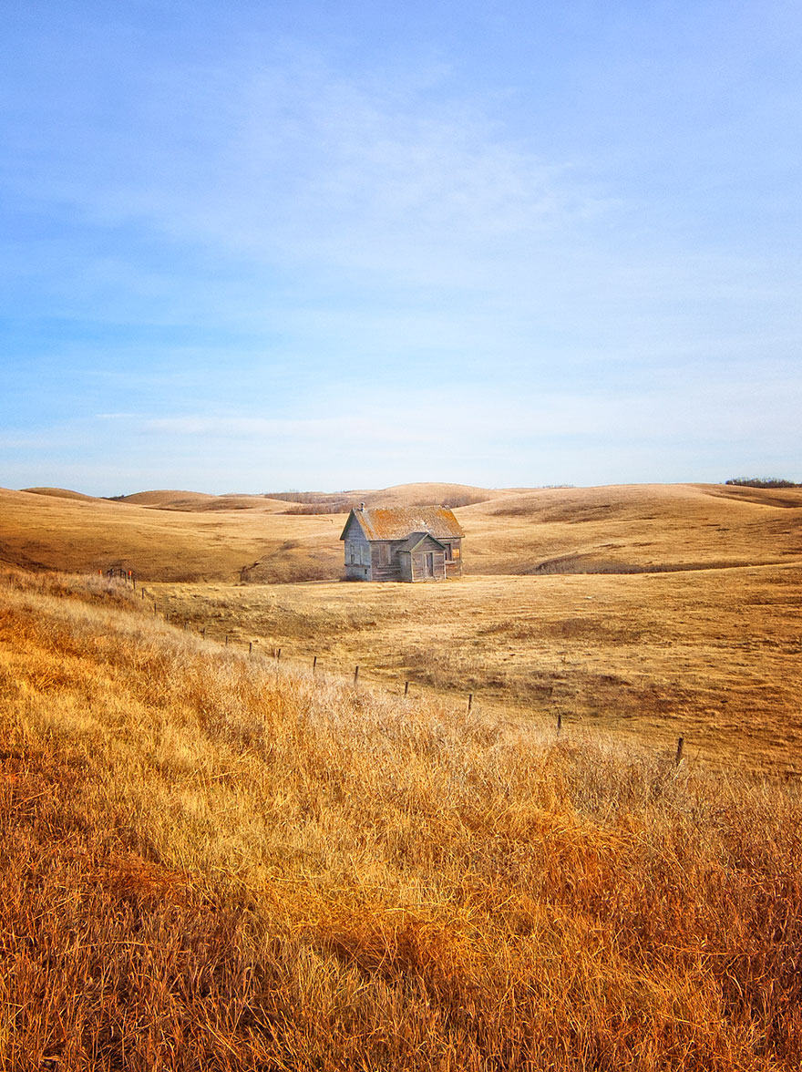 Căn nhà nhỏ bé nằm giữa cánh đồng vàng ở Alberta, Canada