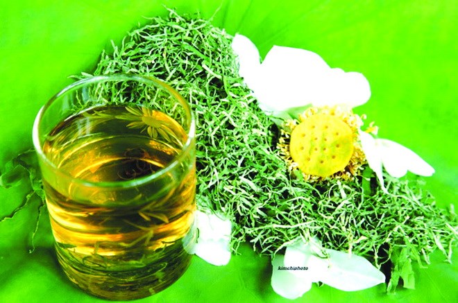 Một số trà thảo dược chứa thành phần độc hại