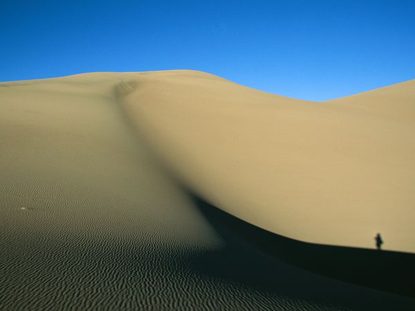 Những cồn cát gợn sóng tuyệt đẹp tại khu bảo tồn quốc gia Great Sand Dunes, bang Colorado Mỹ.
